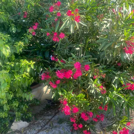 Rocky Villa