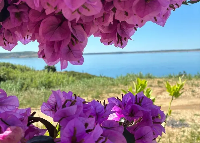 Rocky Βίλα Ražanac