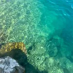 Rocky
